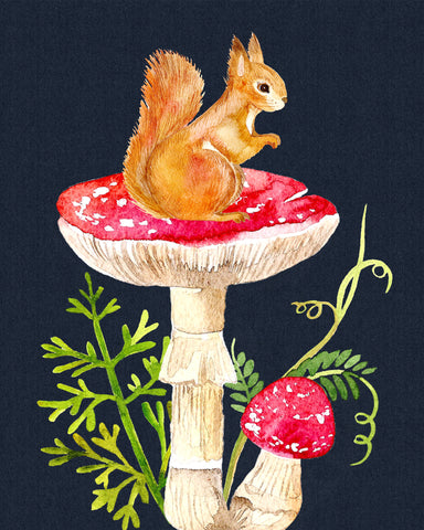 forest and garden squirrel mushroom wall art decor 