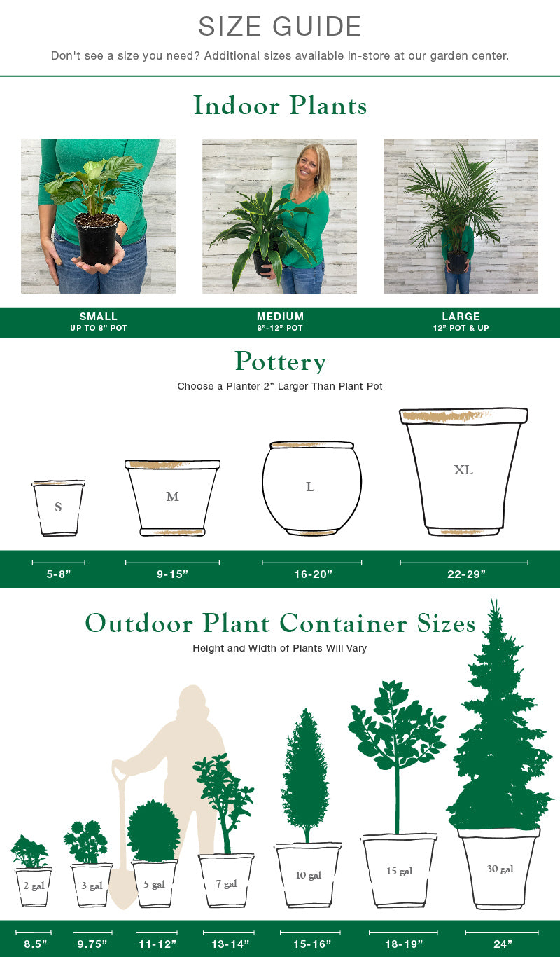 The Ultimate Guide to Planter Sizes