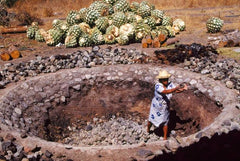 Aguardientes y Destilados de Oaxaca
