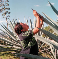 Graciela Ángeles Mezcal Real Minero