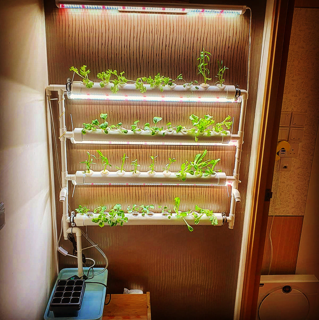 Baron fremsætte konsensus LED Grow Lights for Indoor Hydroponic System – The Gardening Chef