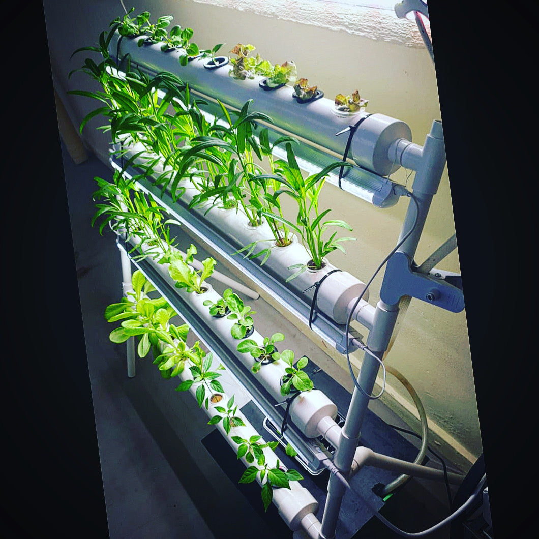 LED Grow Lights for Indoor System – The Gardening