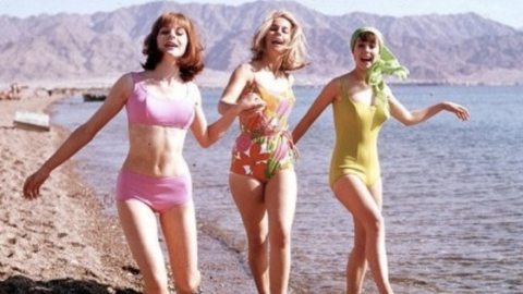 womens swimwear designs in the 60's and 70's