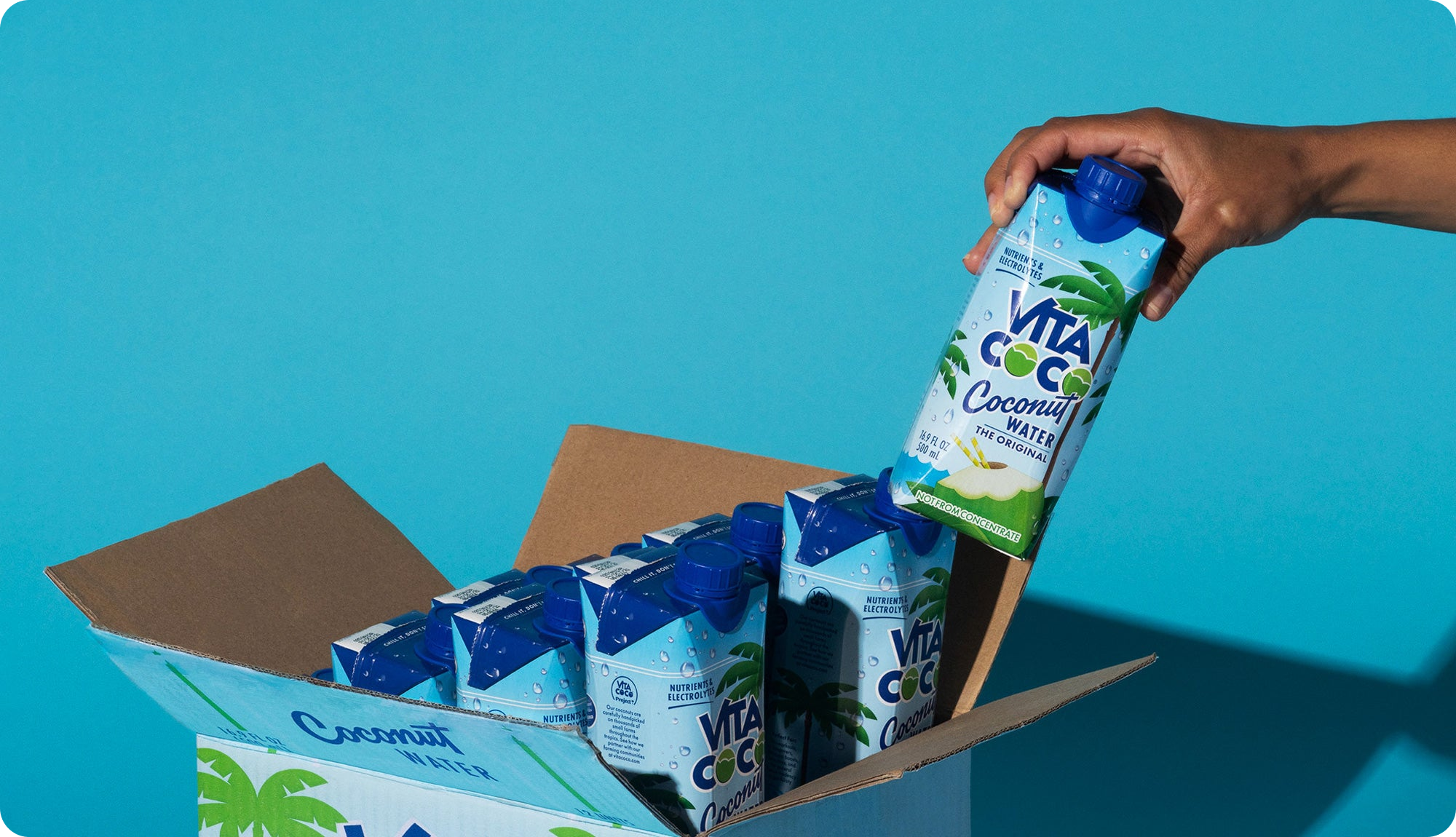 vita coco shopify plus