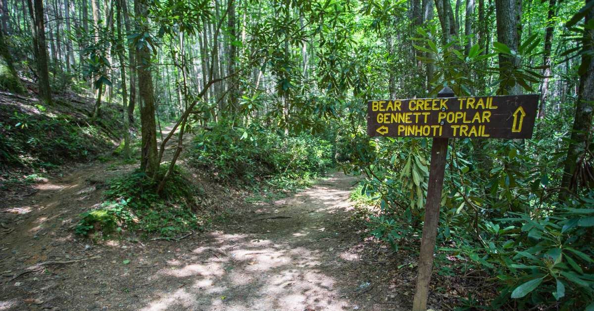 Bear-Creek-Ellijay-Georgia