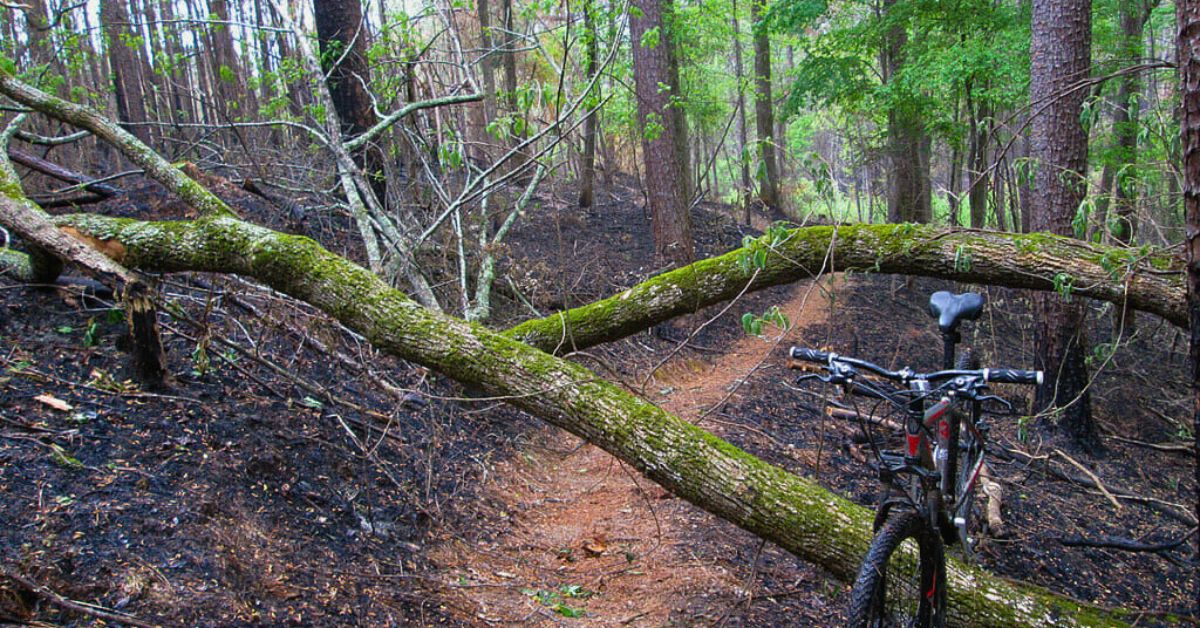 Forks-Area-Trail-System-FATS-Augusta-Georgia