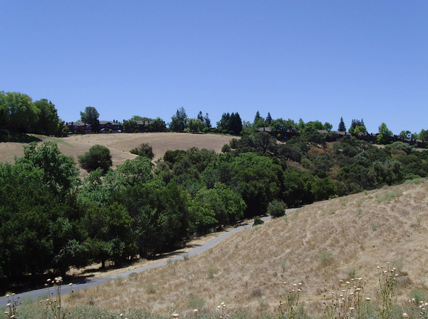 Sabercat Creek Trail