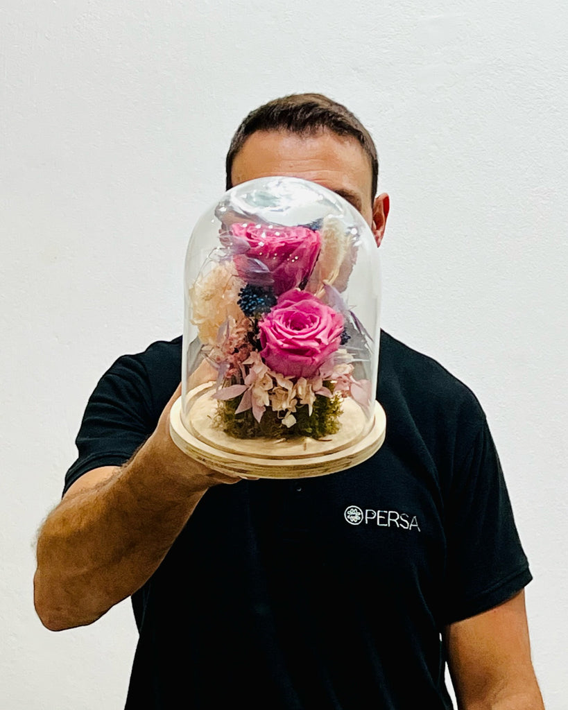 Cúpula con rosa eterna rosa y jose de Persa Flores detras