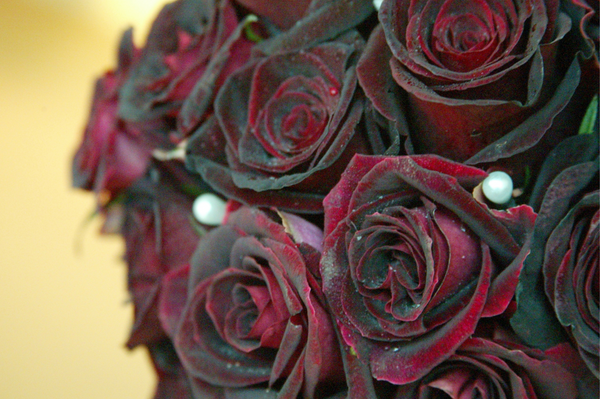 rosas negras