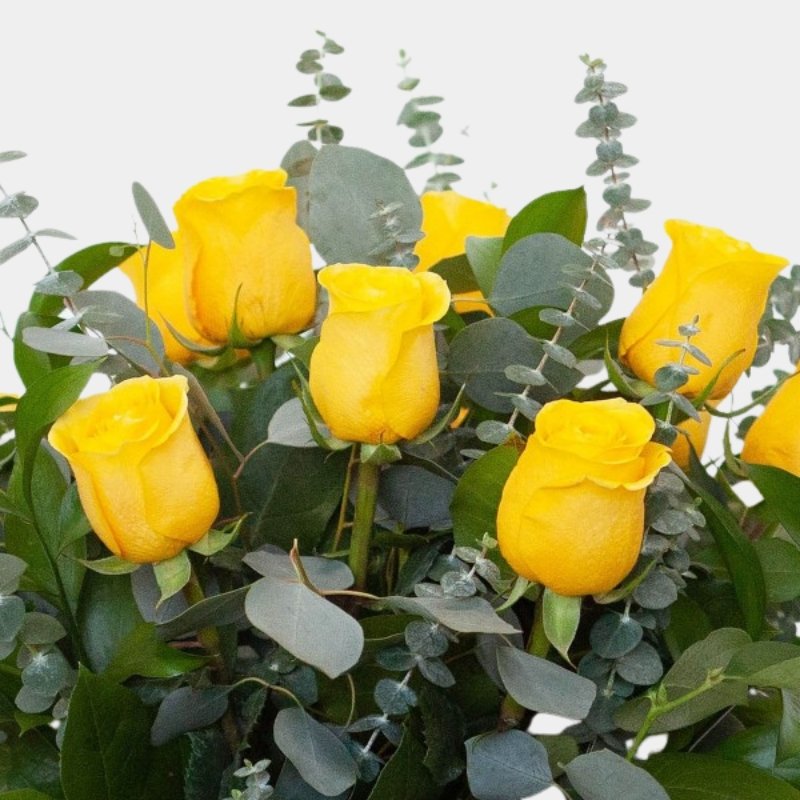 Rosas Amarillas Premium – Persa Flores