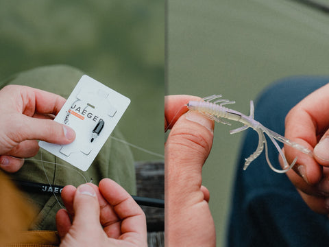 Carolina Rig Successful technique tied directly with ASTA Soft Bait Shrimp as a combo