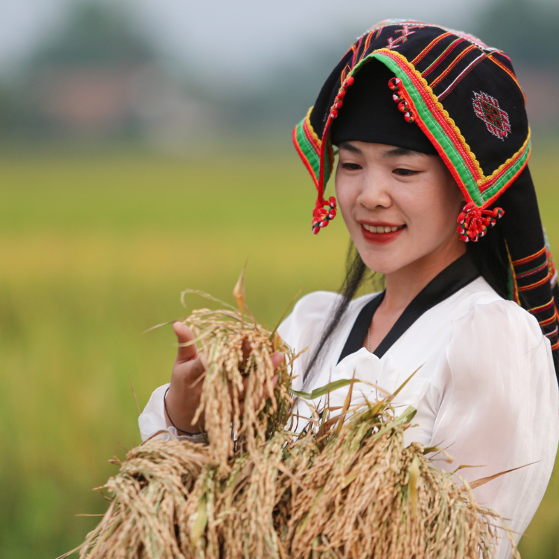 Các Địa Điểm Nổi Tiếng Gần Cánh Đồng Mường Thanh (Ăn Gì? Chơi Gì?)