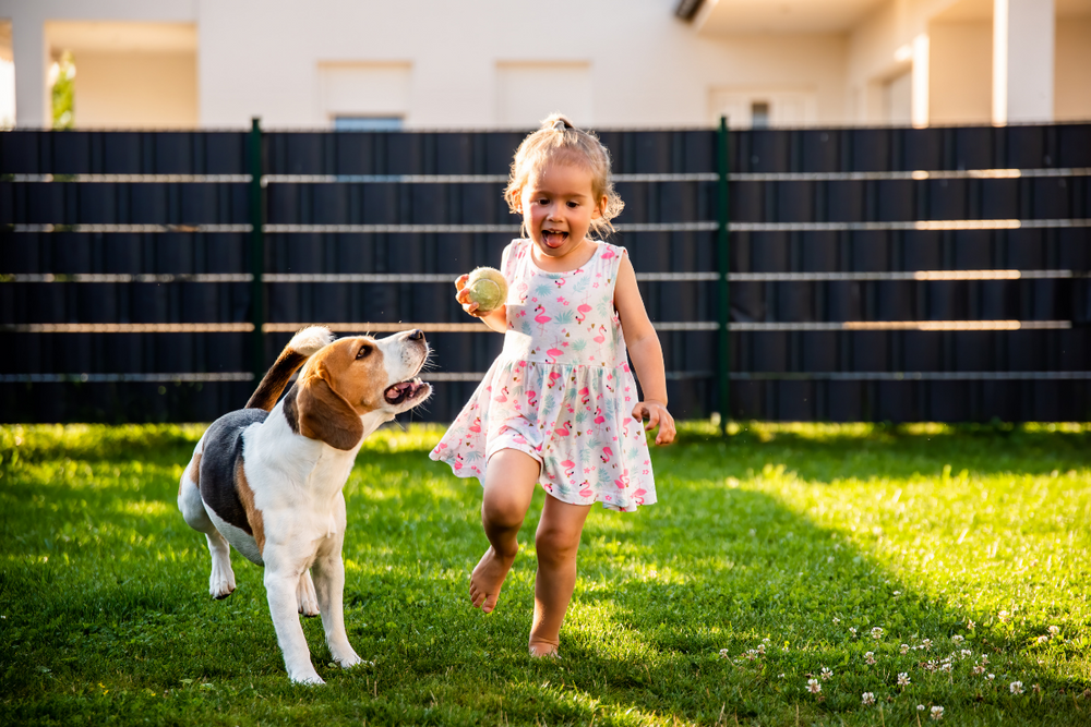 how do i get my dog to poop in one area of the yard