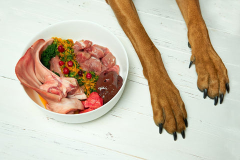 What Ingredients Are Fillers In Dog Food?