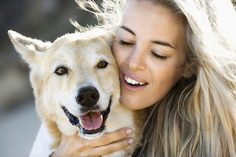 How To Reduce Stress With Your Dog
