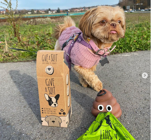 Biodegradable poop bags