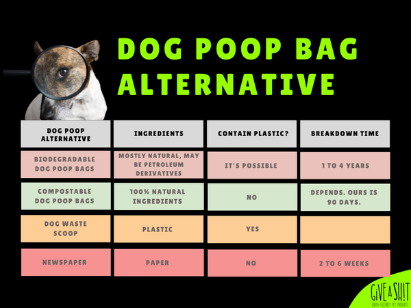 Best dog poop alternative infographic