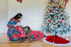 Limited-Edition Snow Globe Balls from Jolly Pets