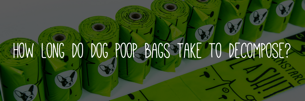 How long do dog poop bags take to decompose?