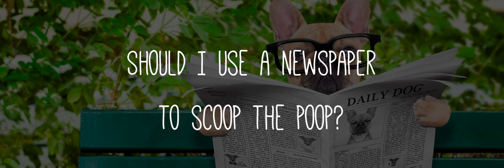 Should I use a newspaper to scoop the poop?