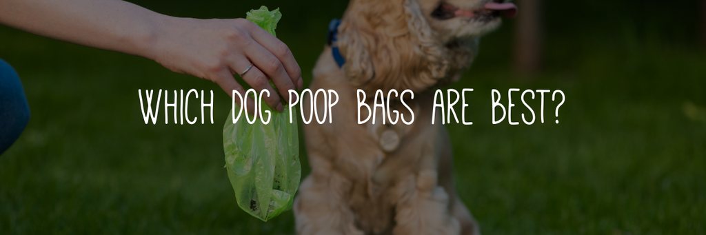 Which dog poop bags are best?