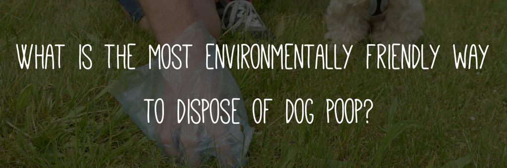 What is the most environmentally friendly way to dispose of dog poop?