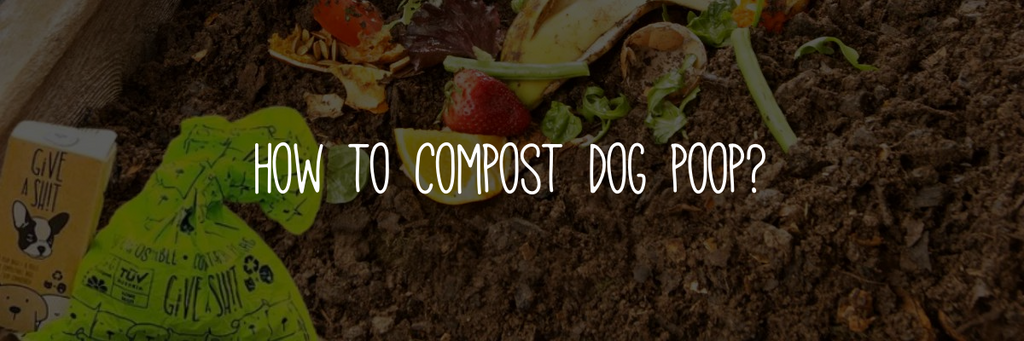 How to compost dog poop?