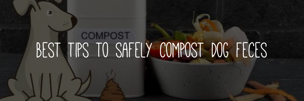 Best tips to safely compost dog feces