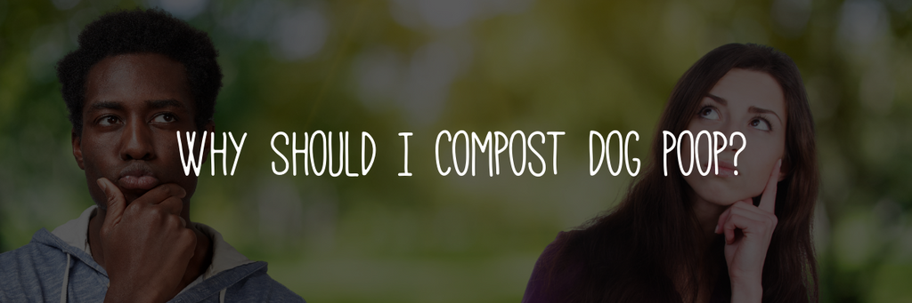 Why Should I Compost Dog Poop?