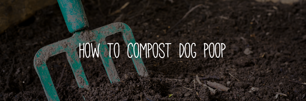 How to compost dog waste