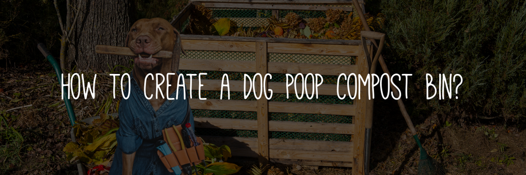 How to create a dog poop compost bin?