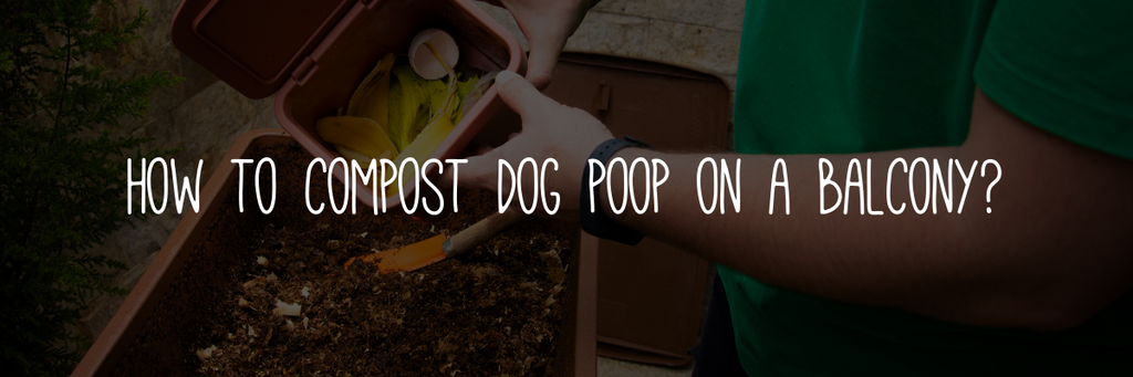 How to compost dog poop on a balcony?
