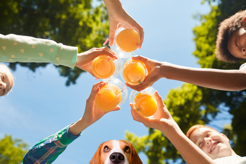Can a Dog Drink Orange Juice? Squeeze the Fact