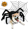 Dog spider costume