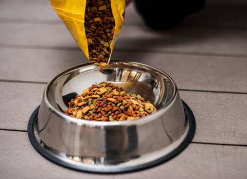 How to make your own sustainable dog food at home