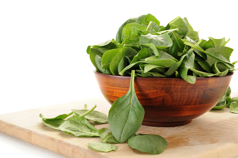 Can Dogs Eat Raw Spinach?