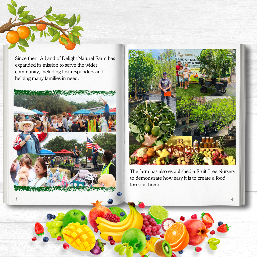Informational Instagram Post Before After Paper Texture-3.png__PID:60f149a4-b334-47fd-b6e0-66ba58bb18bf
