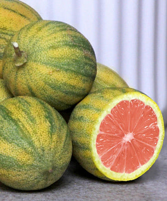 pink_variegated_lemon.jpg.webp__PID:00ef5f4b-6f5e-442f-b6db-e761a0b6da07