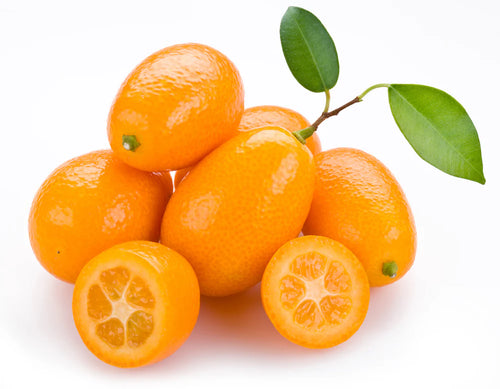 shutterstock_92547181kumquat1_1024x1024.jpg.webp__PID:f4580a39-f5ab-42bc-bc4c-8e6983cb28c1