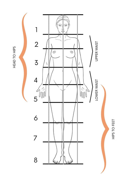 body-proportion-guide