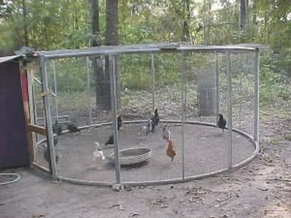 A trampoline frame turned into a chicken coop.