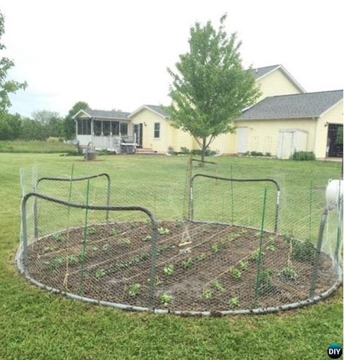An old trampoline frame turned into a garden.