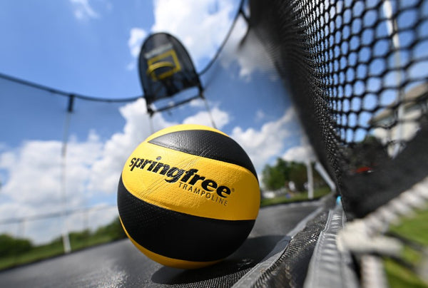 Springfree Ball and Basketball Hoop.