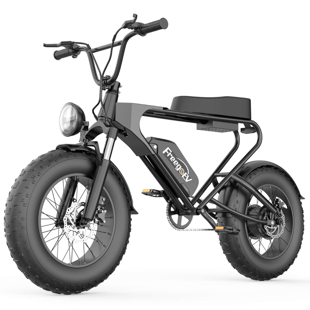 Aostirmotor Folding Electric Bike 20 inch Fat Tire , with 500W