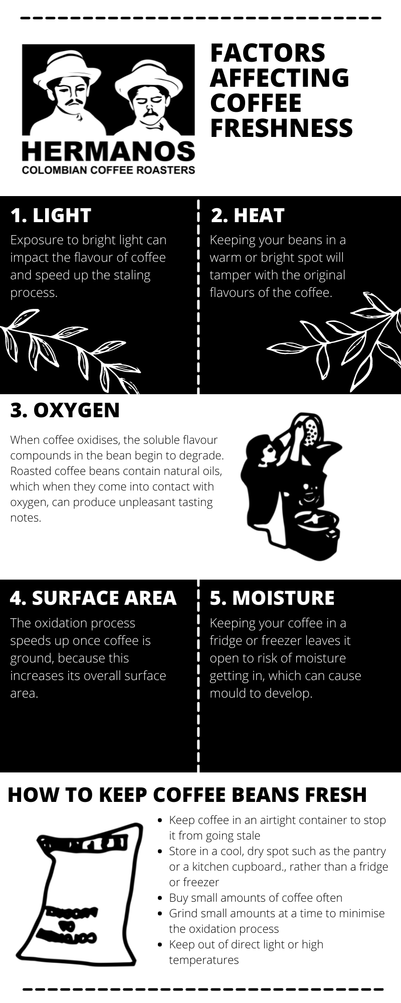 coffee freshness infographic