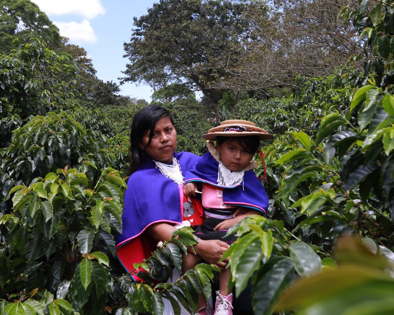 Gender equality issues in the coffee trade