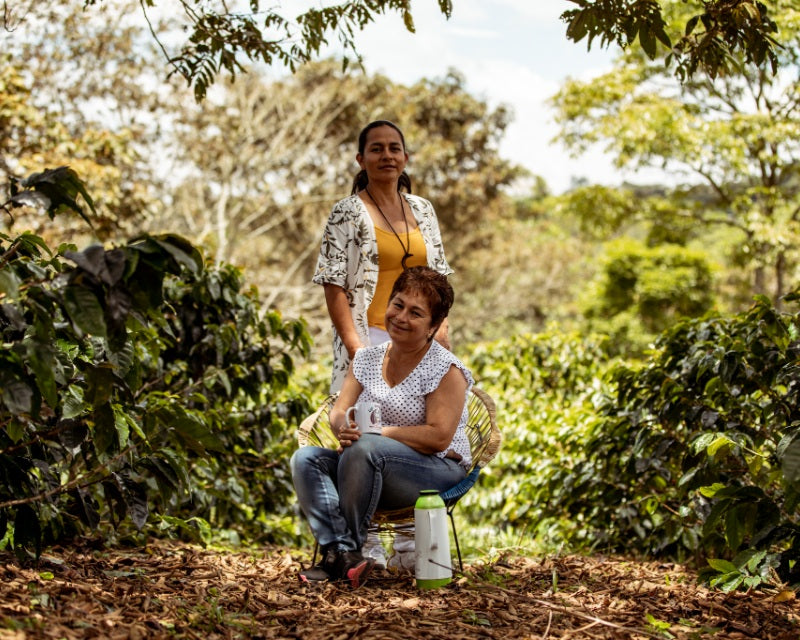 Colombian coffee family farming practices