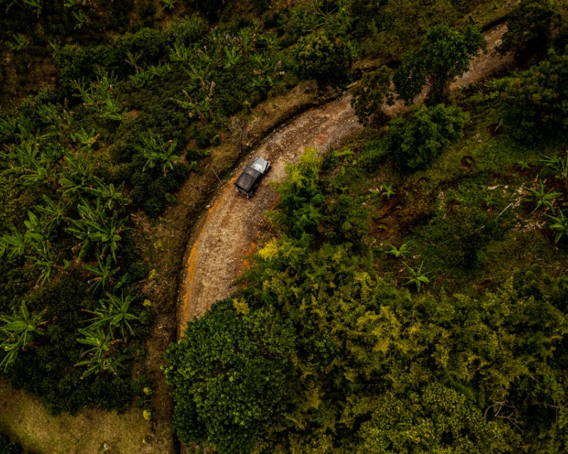 Colombian coffee growing regions 