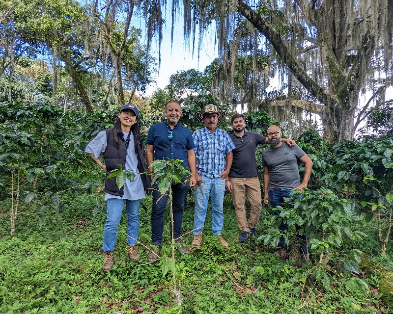 Finca El Calapo Santander Colombia