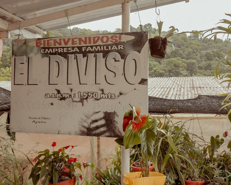 Finca El Diviso Farm Sign Huila Colombia